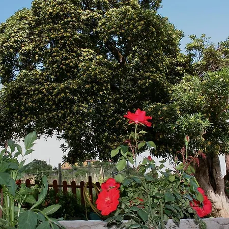 Bed and breakfast Ca De Pria *