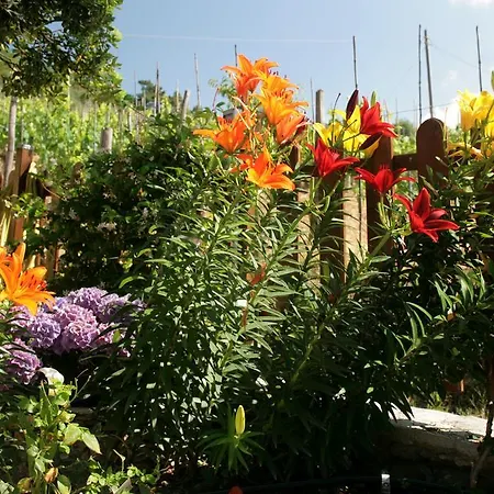 Ca De Pria Bed & Breakfast 3*