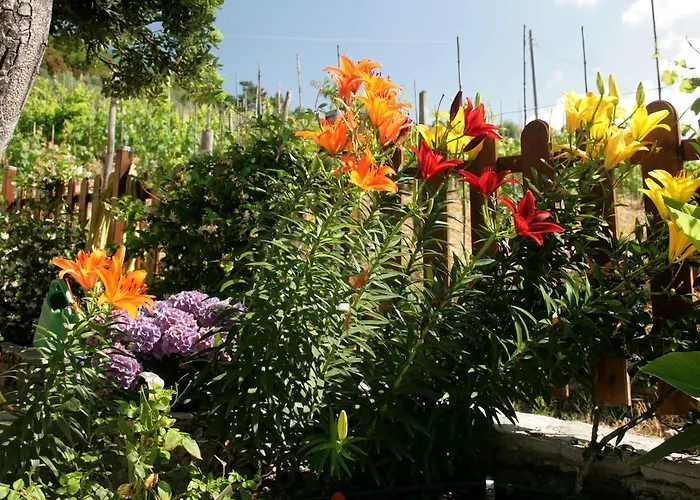 Cà De Pria Bed & Breakfast 3*